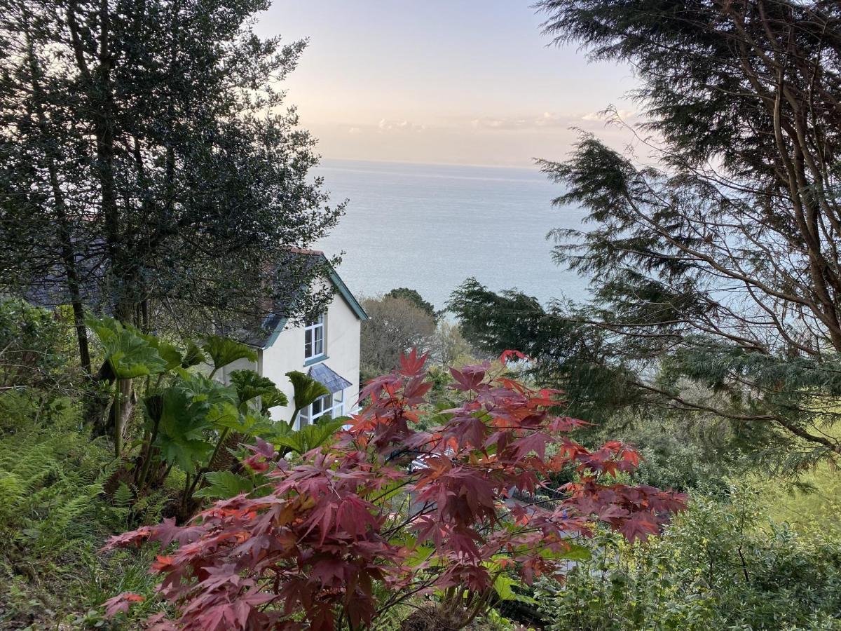 North Walk House Bed & Breakfast Lynton Bagian luar foto