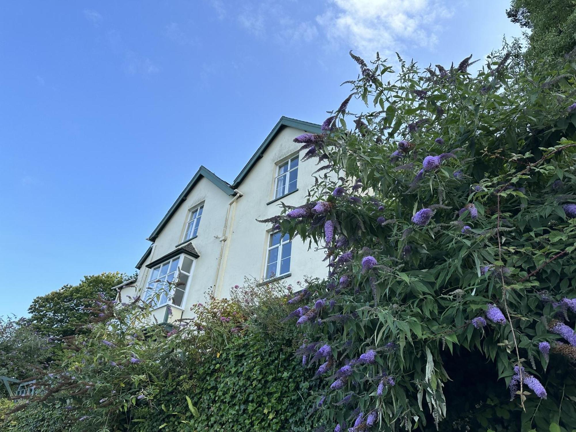 North Walk House Bed & Breakfast Lynton Bagian luar foto